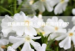 这些易混淆词，你真的用对了吗？