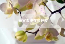 获客系统在线开发
