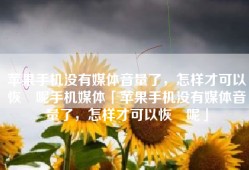 苹果手机没有媒体音量了，怎样才可以恢復呢手机媒体「苹果手机没有媒体音量了，怎样才可以恢復呢」