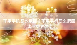 苹果手机怎么反回（苹果手机怎么反回上一步界面）