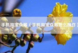 手机淘宝众筹（手机淘宝众筹怎么操作）