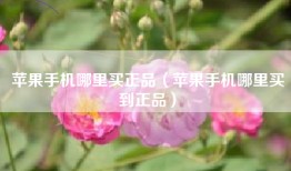 苹果手机哪里买正品（苹果手机哪里买到正品）