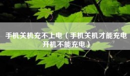 手机关机充不上电（手机关机才能充电开机不能充电）