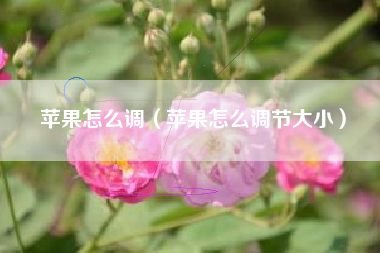 苹果怎么调（苹果怎么调节大小）