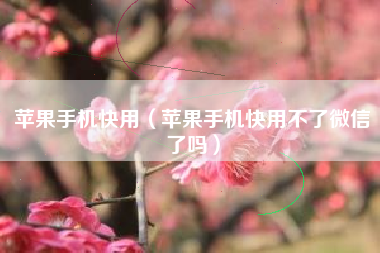 苹果手机快用（苹果手机快用不了微信了吗）