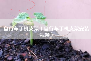 自行车手机支架（自行车手机支架安装视频）