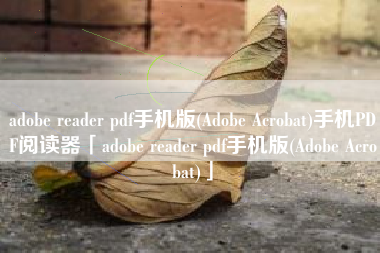 adobe reader pdf手机版(Adobe Acrobat)手机PDF阅读器「adobe reader pdf手机版(Adobe Acrobat)」