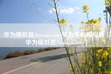 华为模拟器(hwroutesim)华为手机模拟器「华为模拟器(hwroutesim)」