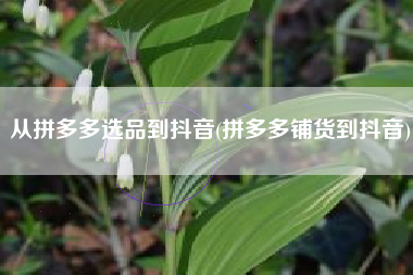 从拼多多选品到抖音(拼多多铺货到抖音)