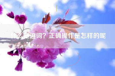 什么是追词？正确操作是怎样的呢